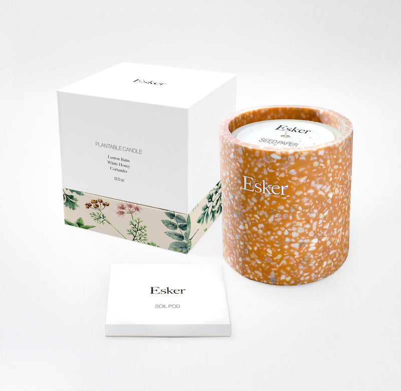 Terracotta Plantable Candle by Esker