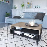 Temahome Horizon Coffee Table