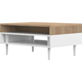 Temahome Horizon Coffee Table