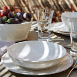 Casafina Pacifica Place Setting Set | 5 Piece