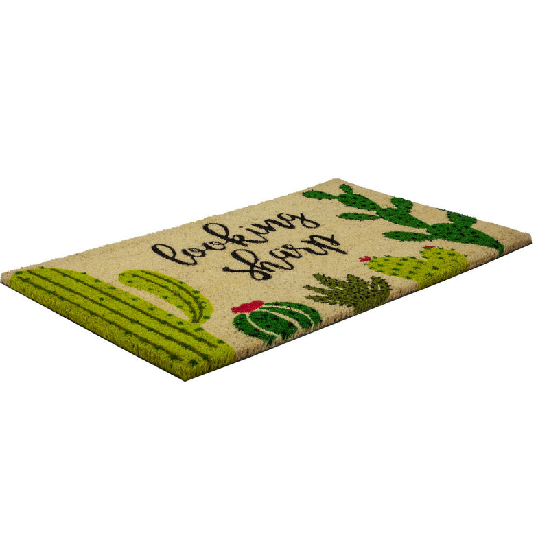 Entryways Looking Sharp Doormat | 17 x 28 