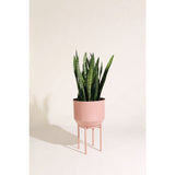 Yield Design Peach Spun Planter