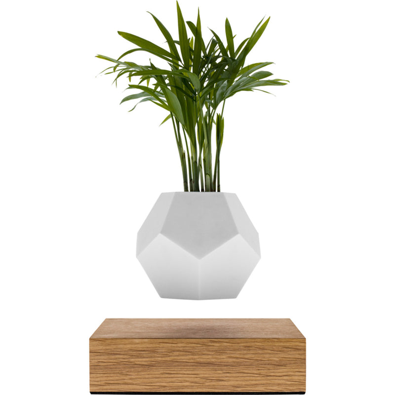 Flyte Lyfe Floating Planter | White FL-LYFE