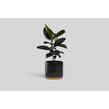 Norden Goods Planter | Black Speckle