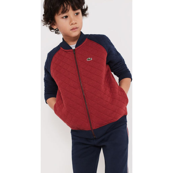 Lacoste Boy's Teddy Neck Colorblock Quilted Cotton Sweatshirt | Passion/Navy Blue