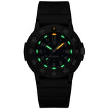 Luminox Original Navy Seal EVO 3001 Watch |Black/Radium