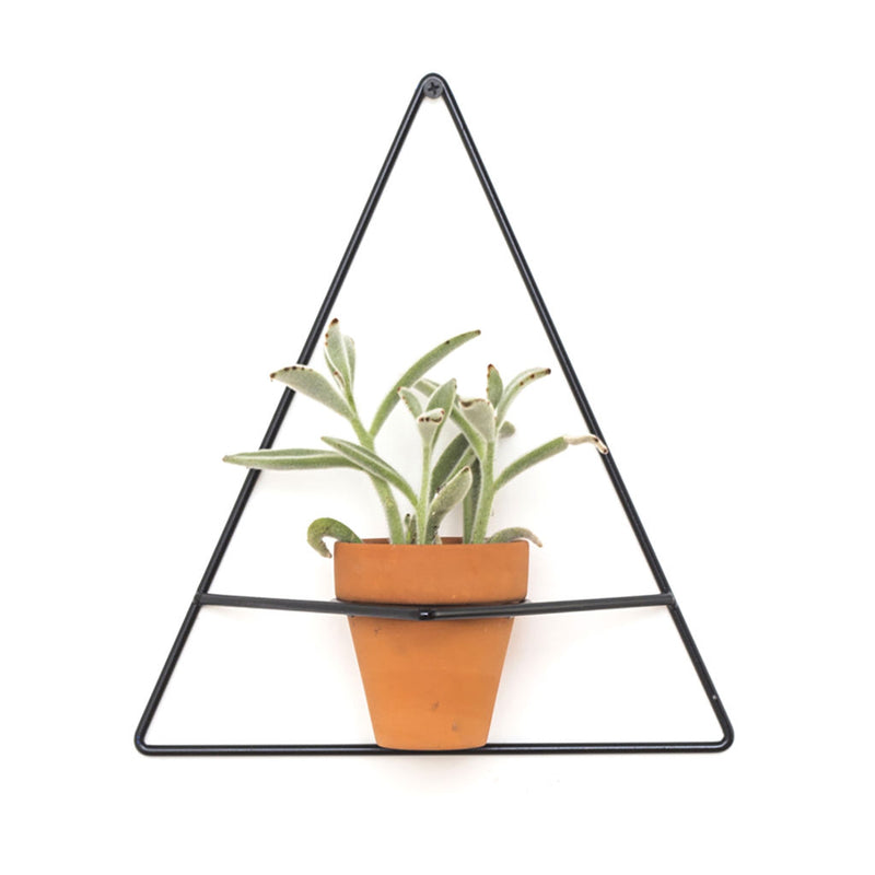 NewMade LA Triangle Wall Planter | Black- PLX02